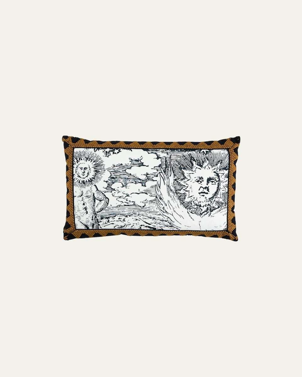 Tim Tim & Modern Toile Pillow